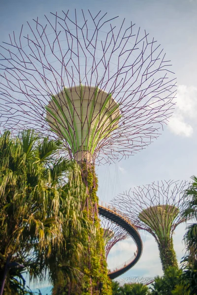 Singapur Una Vista Los Jardines Por Bahía —  Fotos de Stock