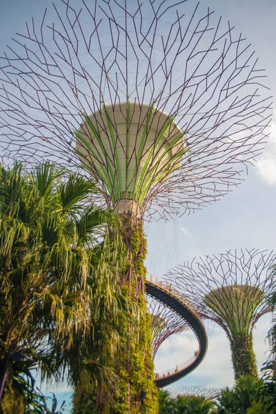 Singapur Una Vista Los Jardines Por Bahía —  Fotos de Stock