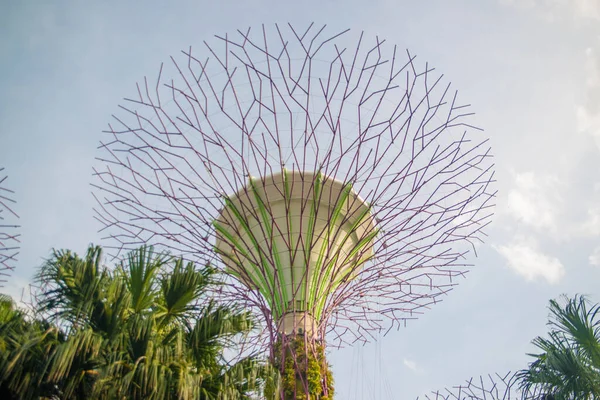 Singapur Una Vista Los Jardines Por Bahía —  Fotos de Stock