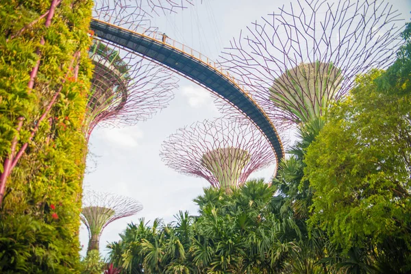 Singapura Uma Vista Jardins Bay — Fotografia de Stock