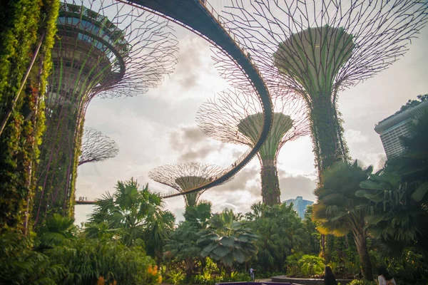 Singapura Jardins Junto Baía — Fotografia de Stock