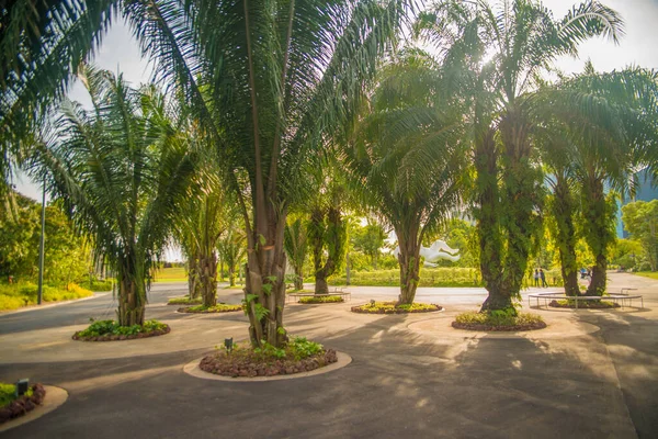 Singapur Jardines Junto Bahía — Foto de Stock