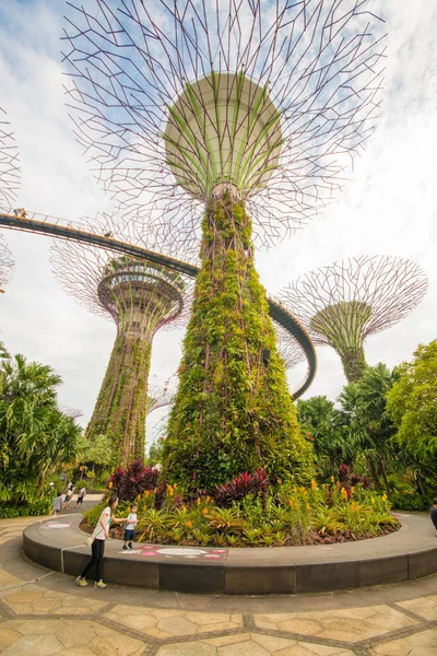 Singapur Jardines Junto Bahía —  Fotos de Stock
