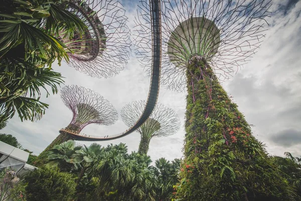 Singapur Jardines Junto Bahía —  Fotos de Stock