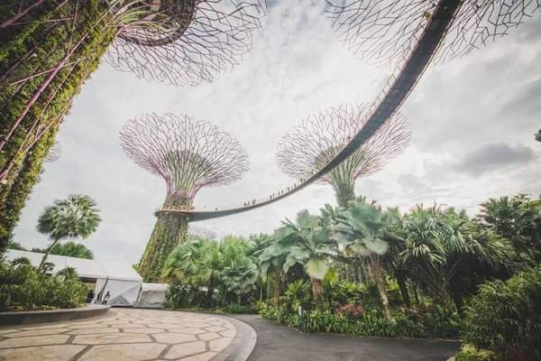 Singapur Jardines Junto Bahía —  Fotos de Stock