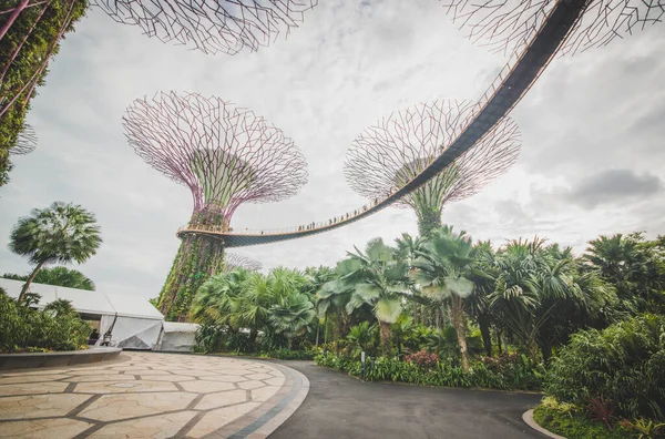 Singapura Jardins Junto Baía — Fotografia de Stock