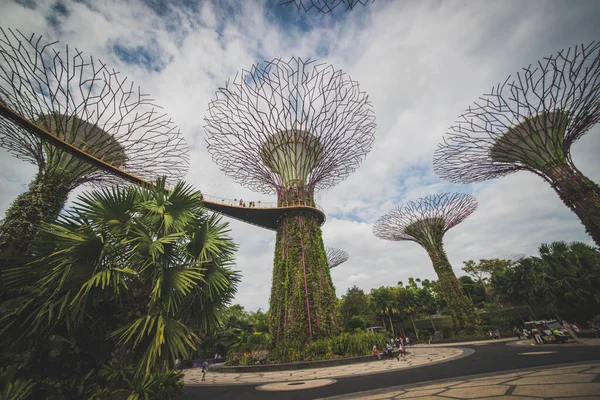 Singapura Jardins Junto Baía — Fotografia de Stock