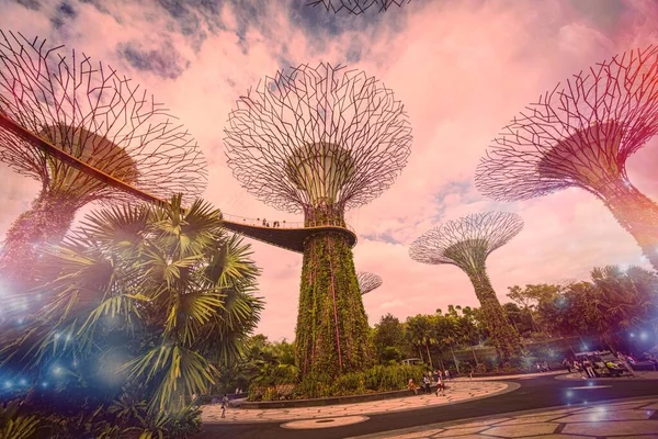 Singapore Tuinen Bij Baai — Stockfoto