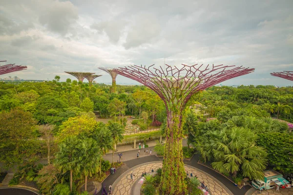 Singapura Jardins Junto Baía — Fotografia de Stock