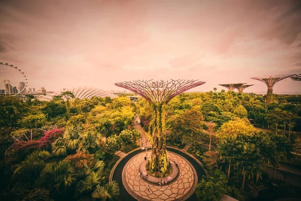 Singapur Jardines Junto Bahía —  Fotos de Stock