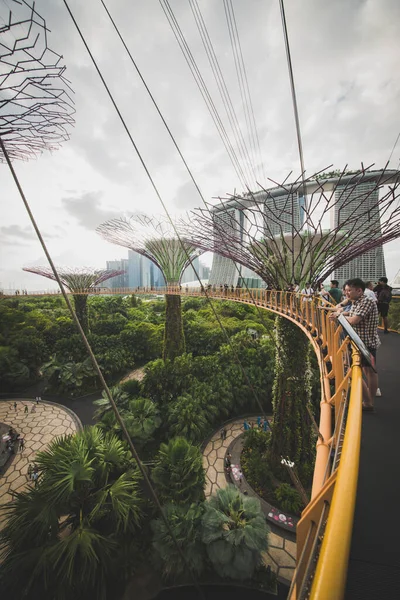 싱가포르 지나는 — 스톡 사진