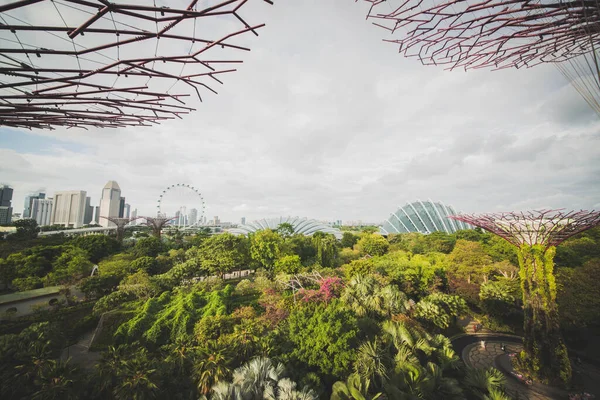 Singapore Tuinen Bij Baai — Stockfoto