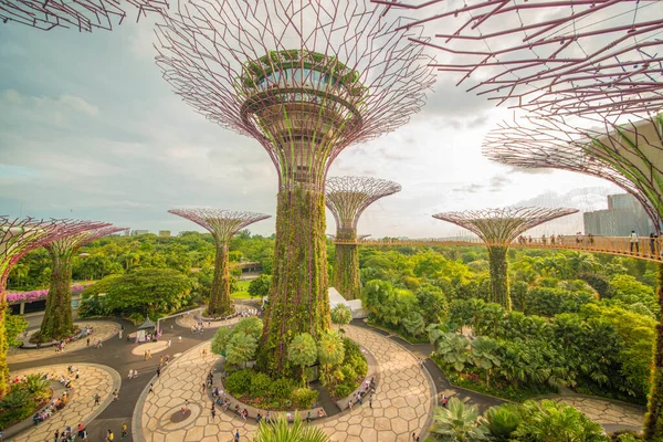 Singapura Jardins Junto Baía — Fotografia de Stock