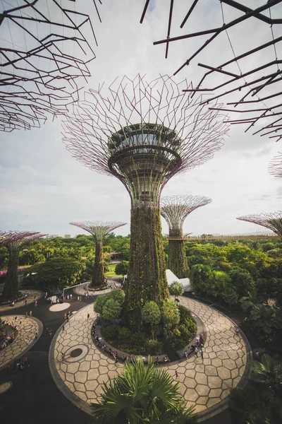 Singapur Jardines Junto Bahía —  Fotos de Stock