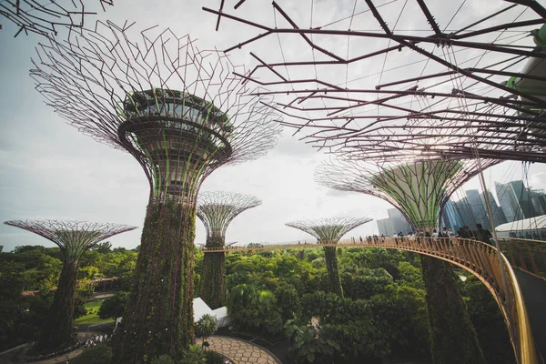 Singapur Jardines Junto Bahía — Foto de Stock