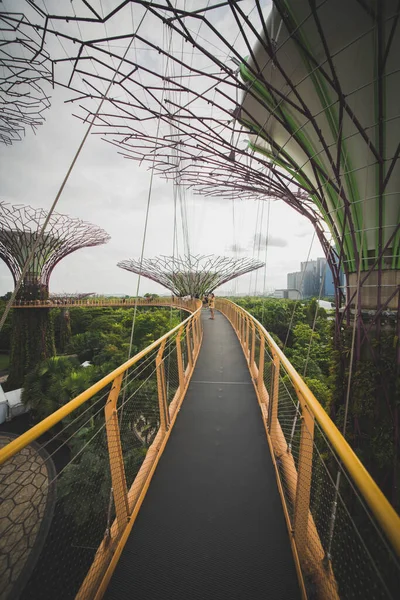 Singapur Zahrady Zátoky — Stock fotografie