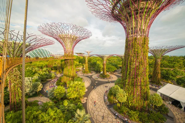 Singapur Jardines Junto Bahía —  Fotos de Stock