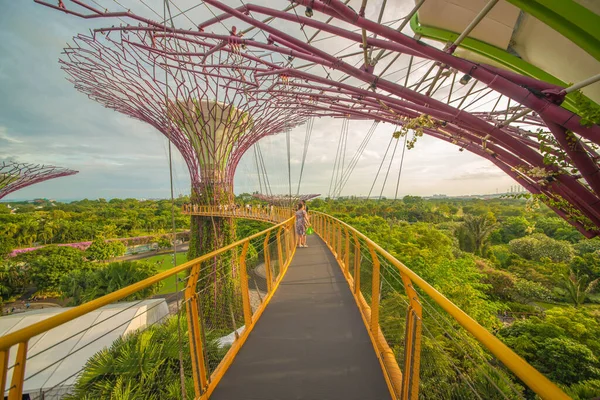 Singapore Tuinen Bij Baai — Stockfoto