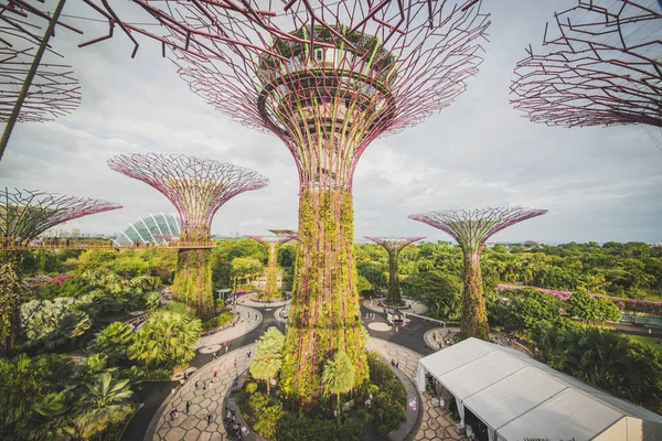 Singapura Jardins Junto Baía — Fotografia de Stock