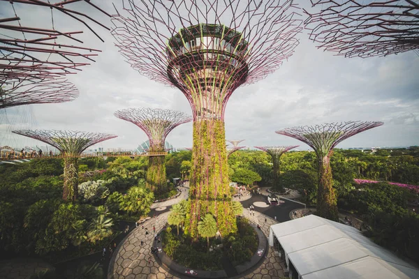 Singapura Jardins Junto Baía — Fotografia de Stock