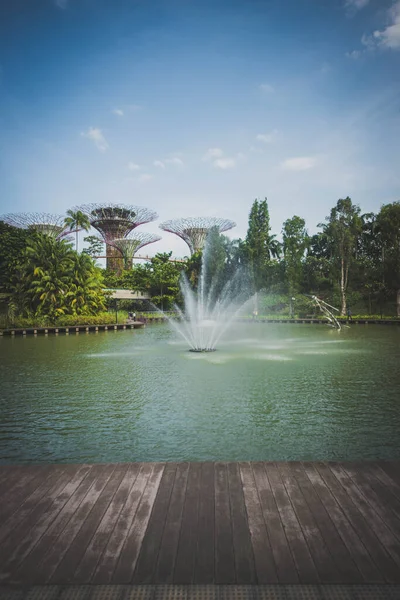 新加坡 海湾边的花园景观 — 图库照片