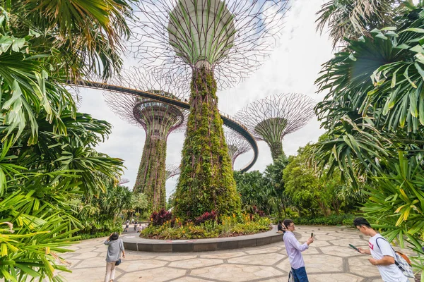 Singapura Uma Vista Jardins Bay — Fotografia de Stock