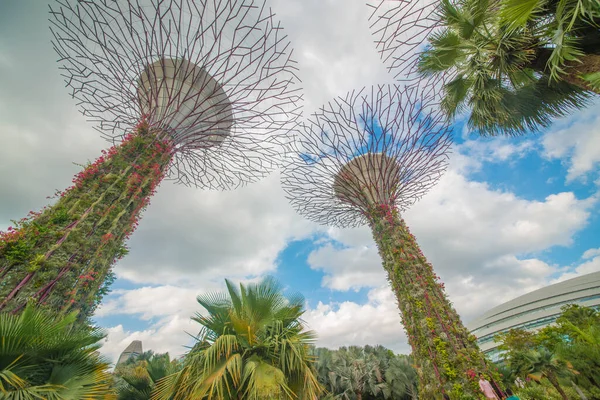 Singapura Uma Vista Jardins Bay — Fotografia de Stock