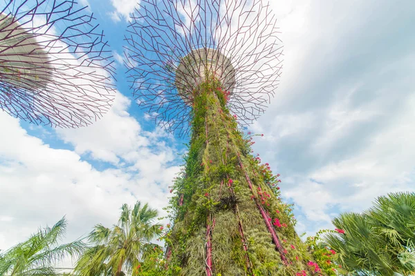 Singapur Una Vista Los Jardines Por Bahía —  Fotos de Stock