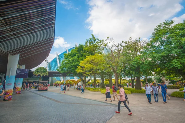 Singapur Pohled Zahrady Zálivu — Stock fotografie