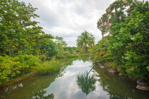 Singapur Una Vista Los Jardines Por Bahía — Foto de Stock