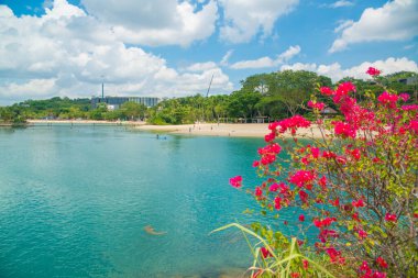 Singapur, Sentosa Adası 'ndaki sakin deniz manzarası. 