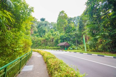Singapur. Sentosa Adası manzarası