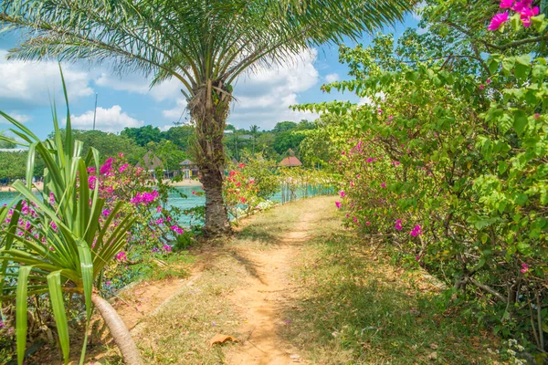 Singapur Una Vista Isla Sentosa — Foto de Stock