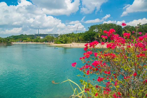 Vista Aérea Del Mar Tranquilo Isla Sentosa Singapur — Foto de Stock