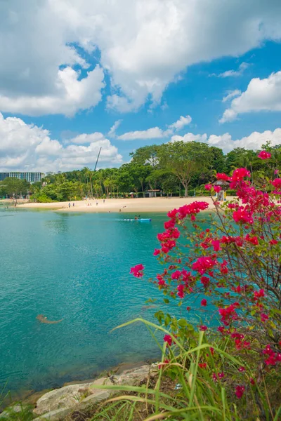 Vista Aérea Del Mar Tranquilo Isla Sentosa Singapur — Foto de Stock