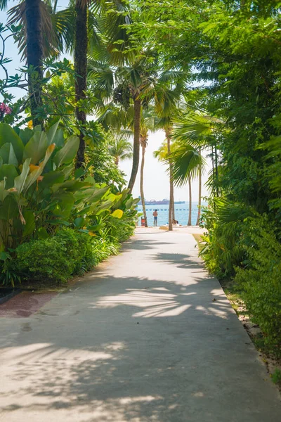 Singapore View Sentosa Island — Stock Photo, Image