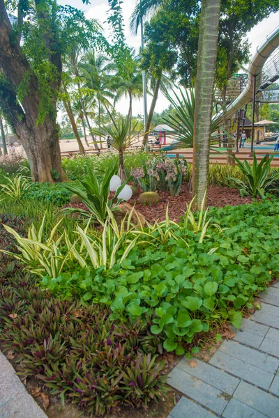 Singapur Una Vista Isla Sentosa — Foto de Stock