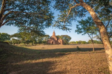 Myanmar. Bagan. Şehir tapınaklarının güzel manzarası.
