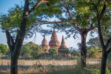 Myanmar. Bagan. Şehir tapınaklarının güzel manzarası.