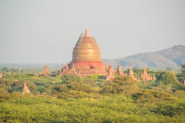 Myanmar. Bagan. Şehir tapınaklarının güzel manzarası.