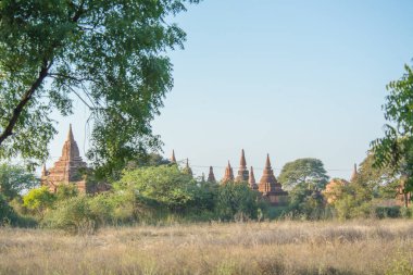 Myanmar. Bagan. Şehir tapınaklarının güzel manzarası.
