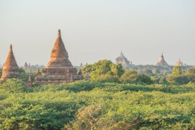 Myanmar. Bagan. Şehir tapınaklarının güzel manzarası.