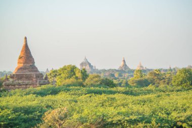 Myanmar. Bagan. Şehir tapınaklarının güzel manzarası.