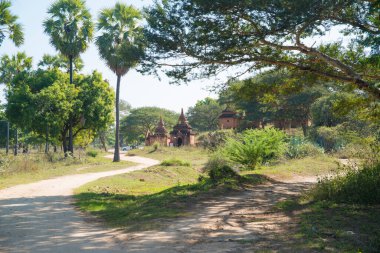 Myanmar. Bagan. Şehir tapınaklarının güzel manzarası.