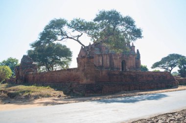 Myanmar. Bagan. Şehir tapınaklarının güzel manzarası.