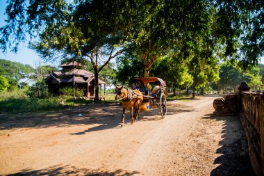 Myanmar. Bagan. Şehir tapınaklarının güzel manzarası.