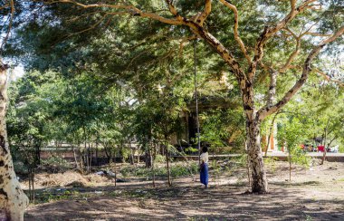 Myanmar. Bagan. Şehir tapınaklarının güzel manzarası.