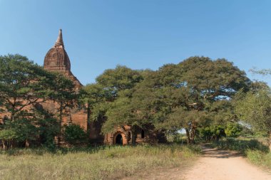 Myanmar. Bagan. Şehir tapınaklarının güzel manzarası.