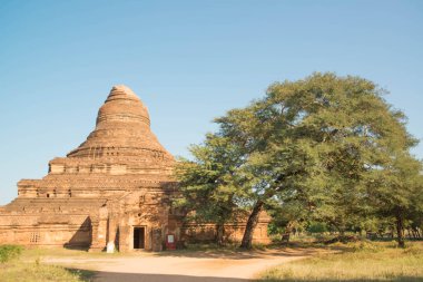 Myanmar. Bagan. Şehir tapınaklarının güzel manzarası.