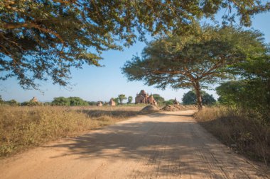 Myanmar. Bagan. Şehir tapınaklarının güzel manzarası.